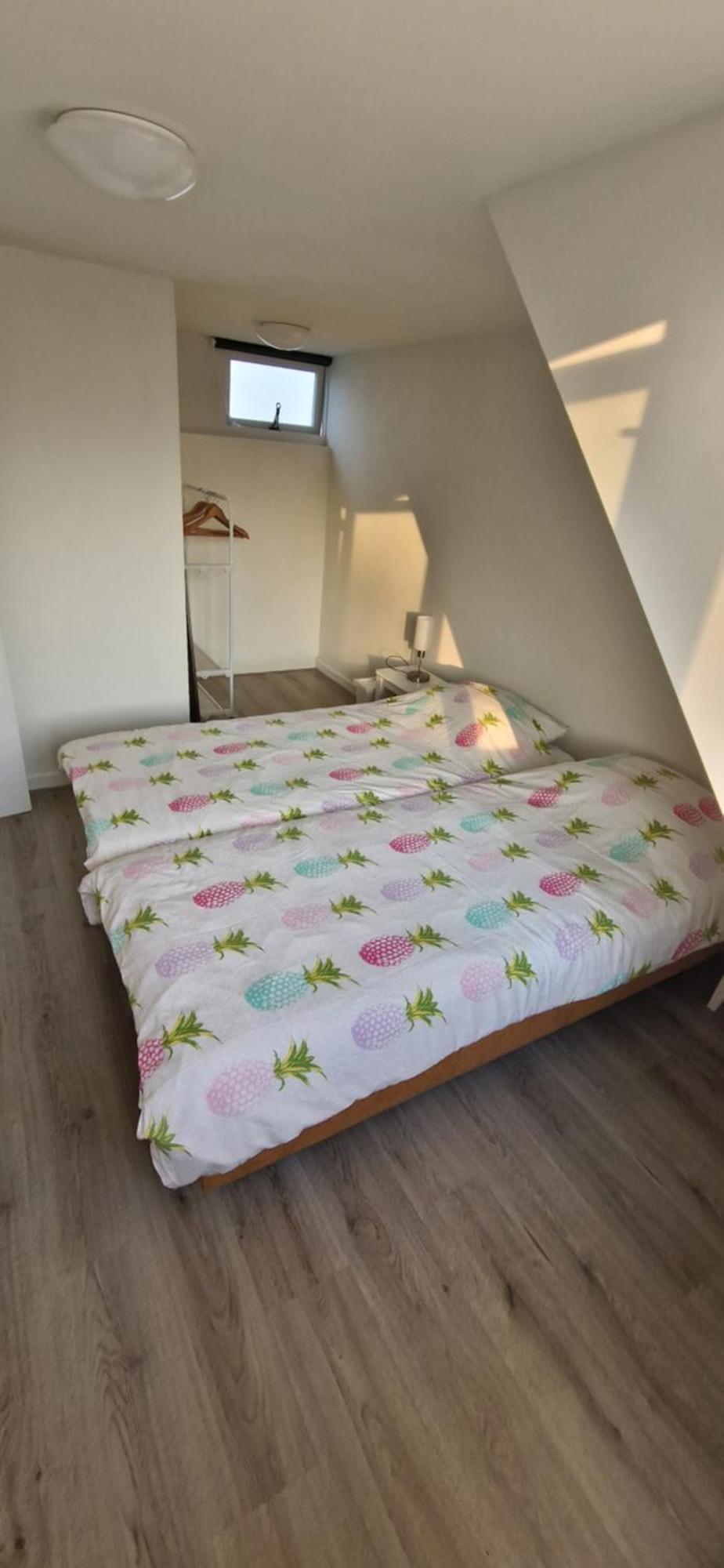 Villa Der Springbrunnen Egmond aan Zee Esterno foto